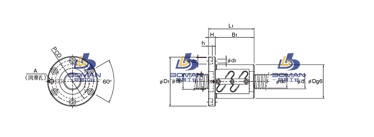 BIF2508V-5