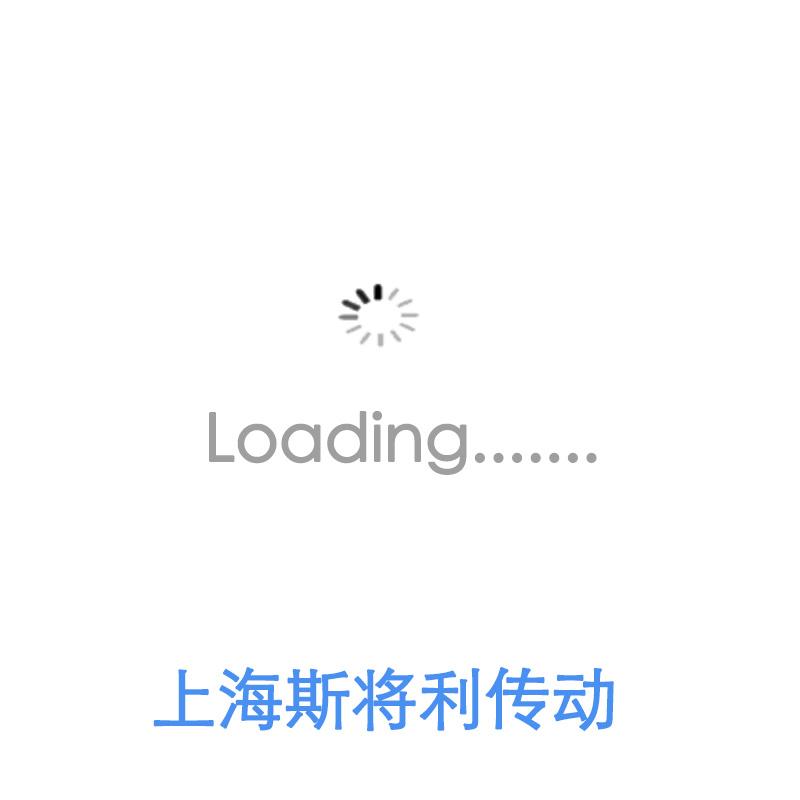 PSS2520N1D1263-FSS滚珠丝杠